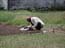 2003_agriculture_work_congo