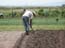 2003_agriculture_work_congo_1