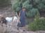 2003_herdswoman_montenegro