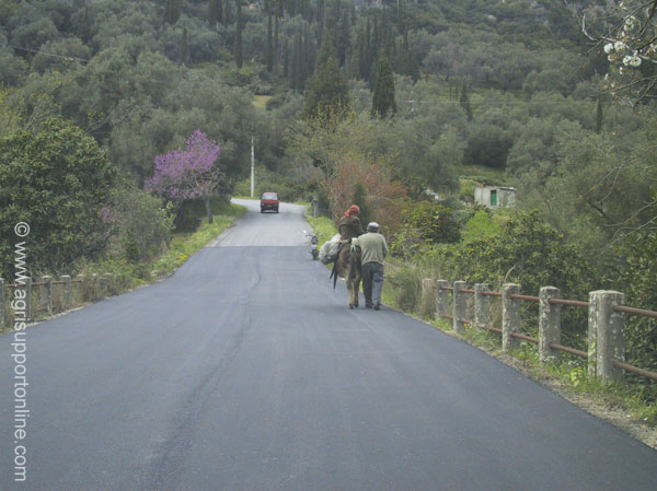 2001_traditional_and_modern_transportation_corfu_greece