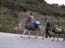 2001_local_transportation_corfu_greece