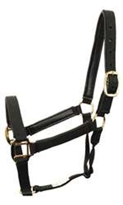 Premium Nylon Padded Horse Halter 