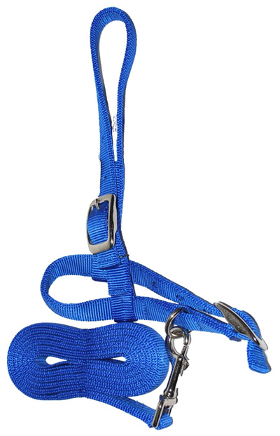 Nylon Sheep Halter & Lead