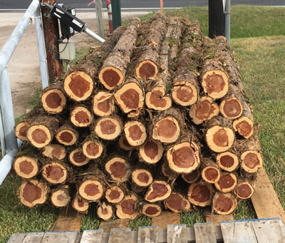 Missouri Mountain Cedar Posts