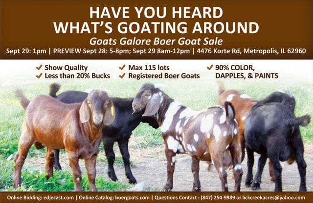 Goats Galore Boer Goat Sale