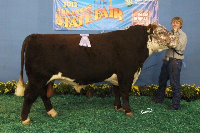 Circle S Farm Hamms Herefords