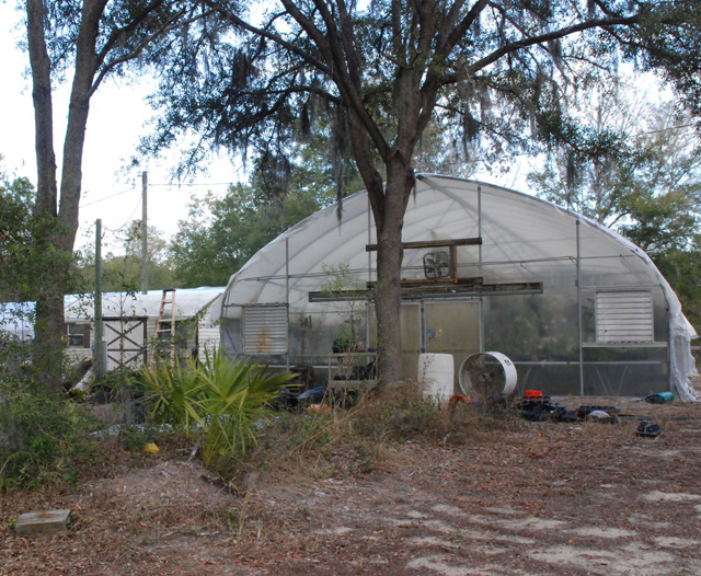 Commercial Greenhouse Space for Rent
