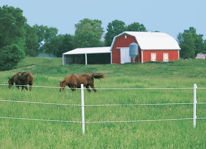 Electric Fence for Horses