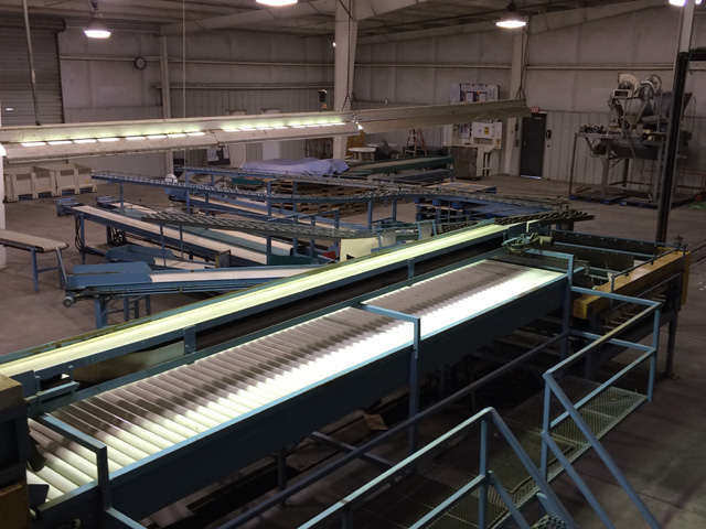 Roll sizer Packing Line