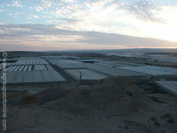 greenhouses_in_the_desert_hatseva_arava_israel