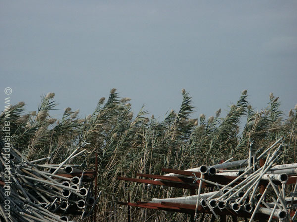 irrigation_pipes_israel