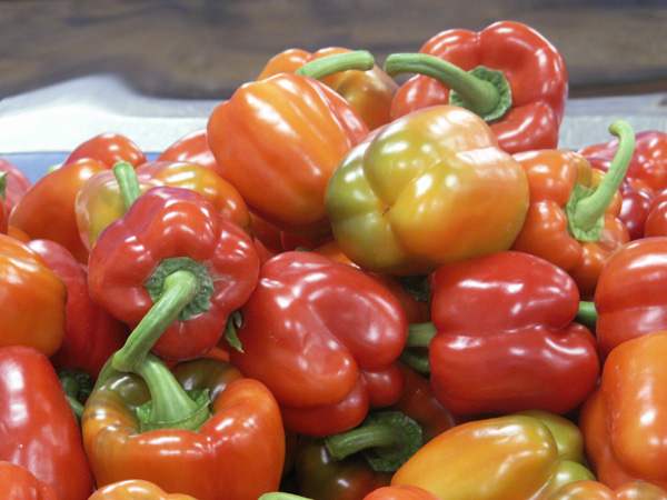 Red Peppers in House Packing - the Arava Region
