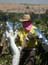 mango_grafting_moshav_almagor_israel