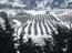 snow_in_the_golan_israel