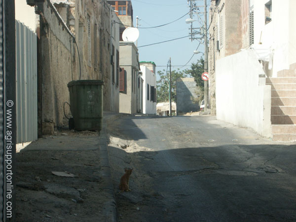 2002_jaffa_israel