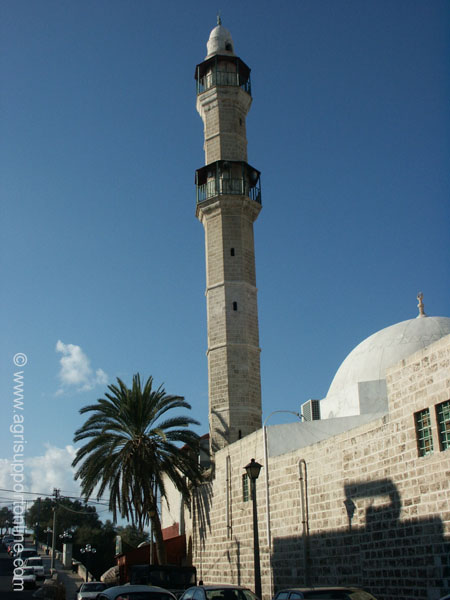 2002_jaffa_israel_4