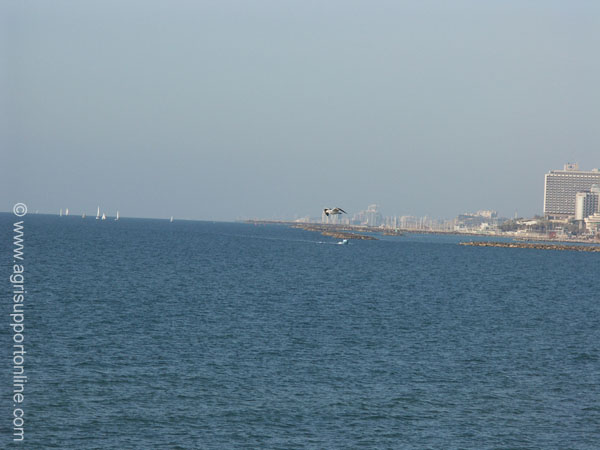 2004_tel_aviv_israel