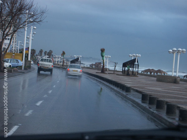2004_winter_in_tel_aviv_beach_israel