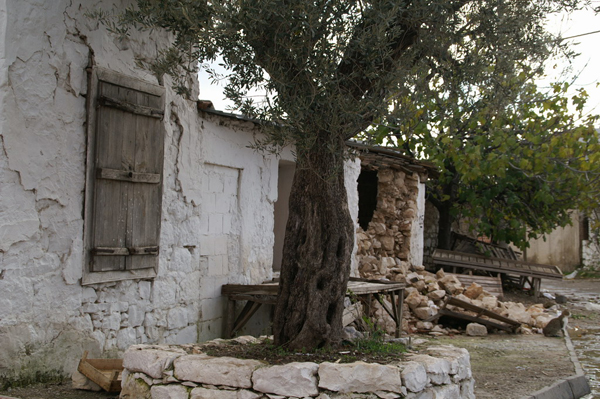 Village in Turkey 2007 - cat0818
