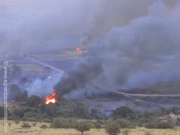 2001_fire_in_the_jordan_valley_israel
