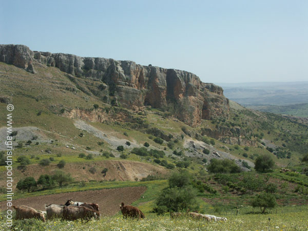 2004_amud_wadi_galilee_israel