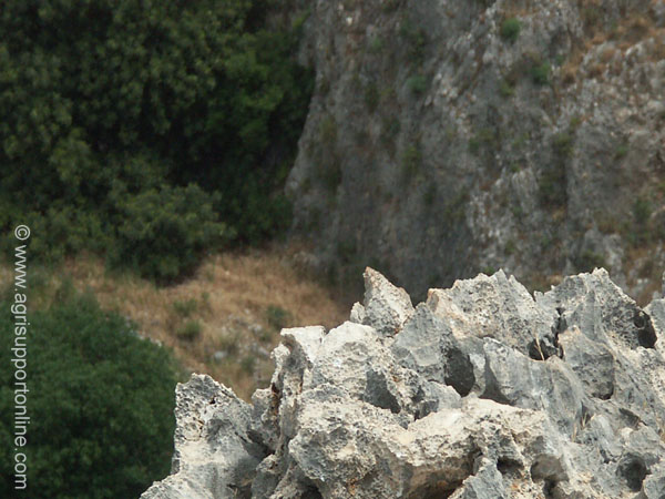 2004_amud_wadi_galilee_israel_1