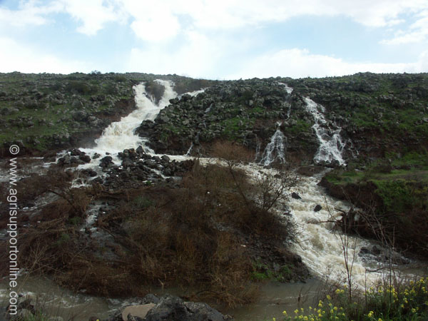 2004_flow_in_the_golan_israel
