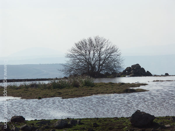 2004_golan_isarel_1
