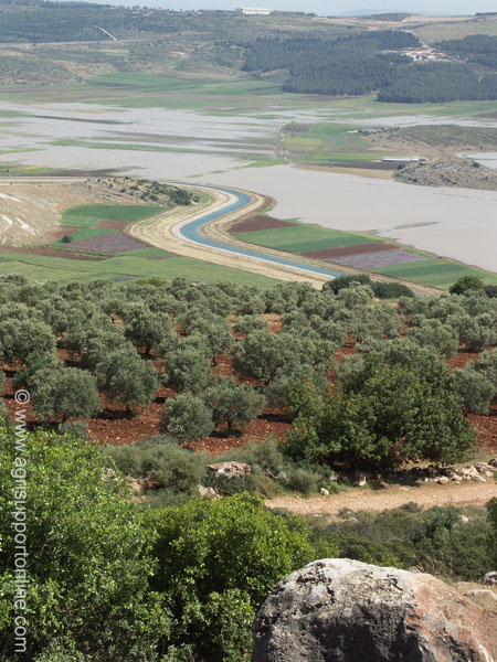 2004_netofa_valley_israel