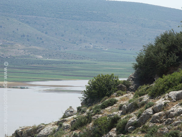 2004_netofa_valley_israel_2