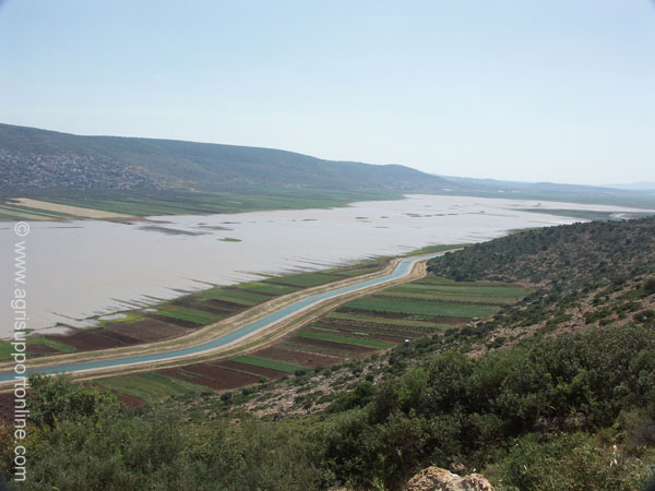 2004_netofa_valley_israel_4