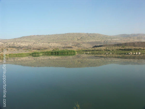 2004_reflection_of_the_golan_jordan_valley_israel