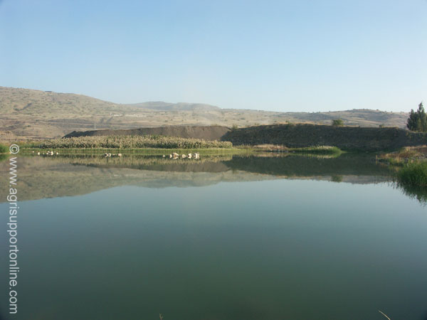 2004_reflection_of_the_golan_jordan_valley_israel_1