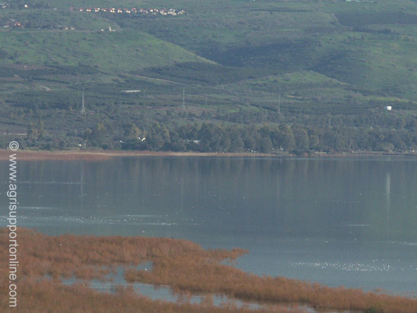 2004_sea_of_galilee_israel