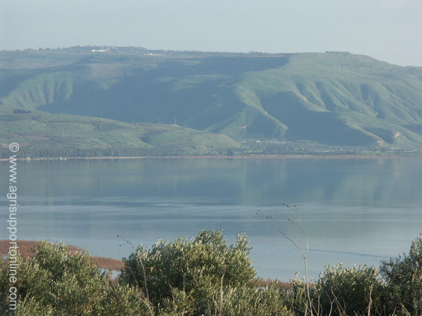 2004_sea_of_galilee_israel_4