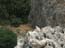2004_amud_wadi_galilee_israel_1