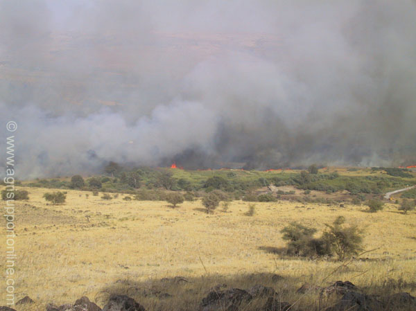 2001_israel_fire_in_the jordan_valley