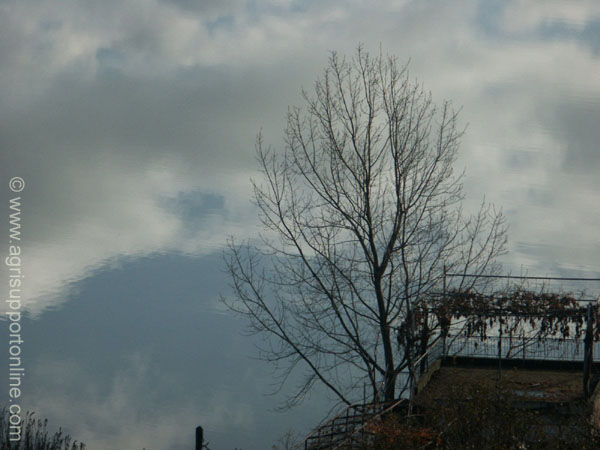 2003_birket_ram_the_golan_heights_2