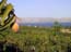 2001_amango_and_the_sea_of_galilee_israel