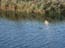 2002_alexander_stream_michmoret_israel_1