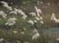 2002_alexander_stream_michmoret_israel_2