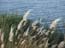 2002_alexander_stream_michmoret_israel_3