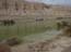 2002_negev_desert_israel_4