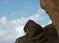 2002_negev_desert_israel_7