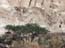 2002_negev_desert_israel_8