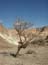 2002_negev_desert_israel_9