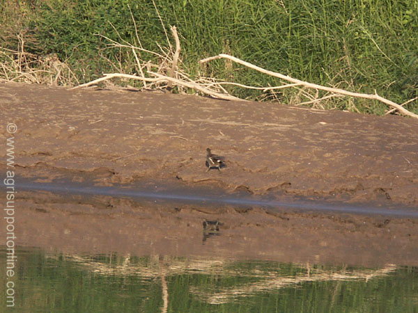 2004_jordan_river_israel