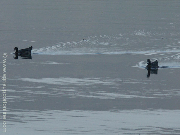 2004_sea_of_galilee_1