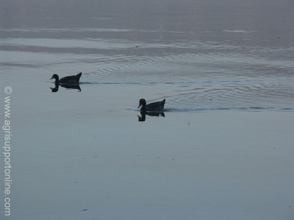 2004_sea_of_galilee_2