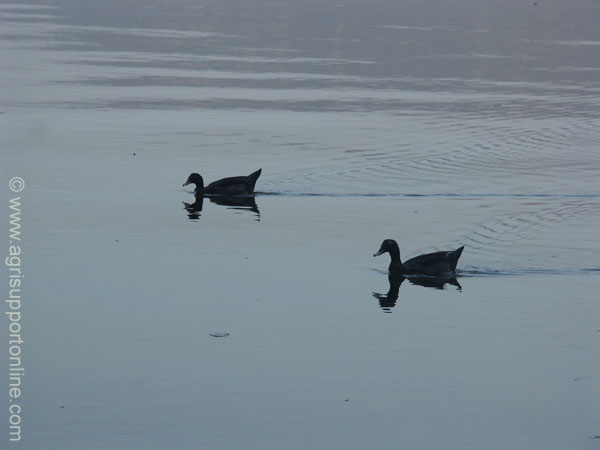 2004_sea_of_galilee_3